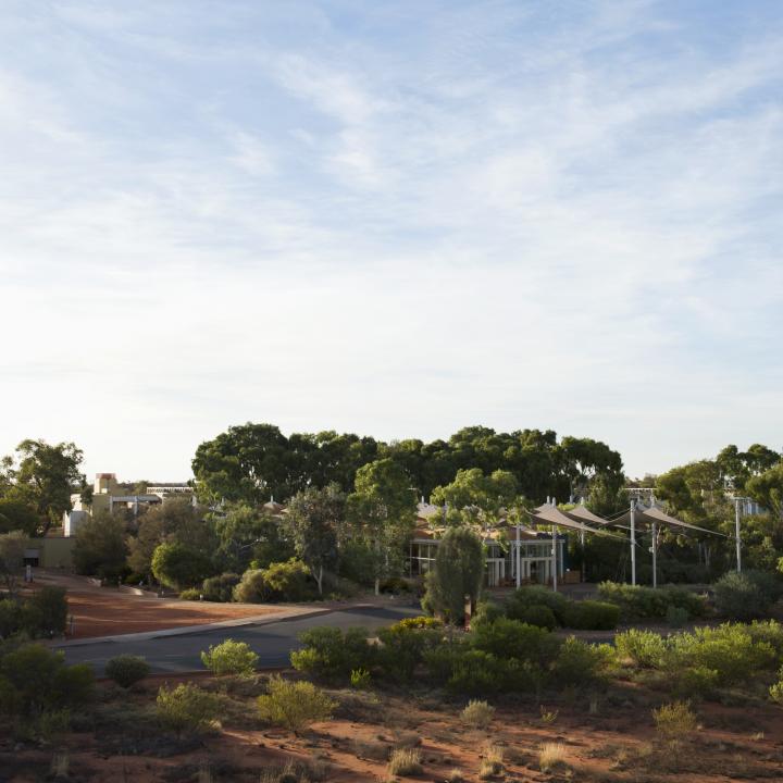 the resort