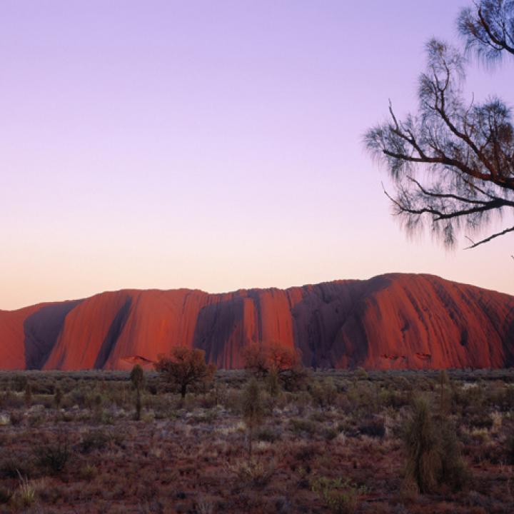 uluru dusk