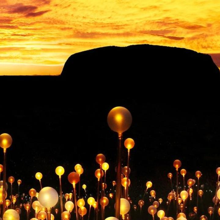 Field of Light